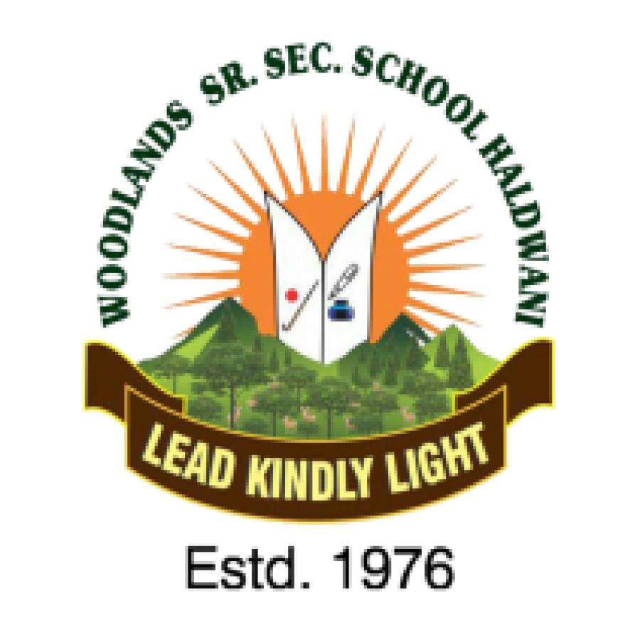 Footer Logo
